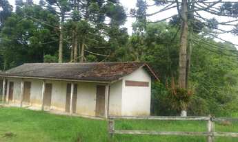 Imagem 2: Chácara Troca 3.100m2 em SJP na Roça Velha, Troca