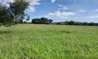Imagem 4: A&M Imoveis vende Exelente Fazenda com 162hectare Região da Serra Bonita, município de Bu
