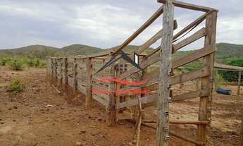 Imagem 7: Fazenda para Venda - 101 Hectares - Baixadão, Diamantina/MG