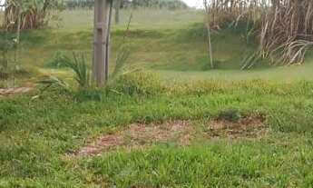 Imagem 5: Chácara 5 mil metros localizanda em Toledo/Pr