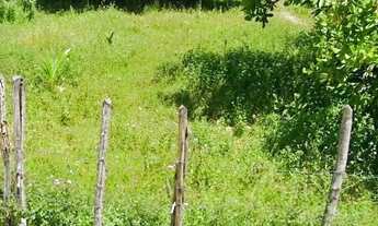 Imagem 3: LOTE A VENDA EM Salinas das Margaridas/BA