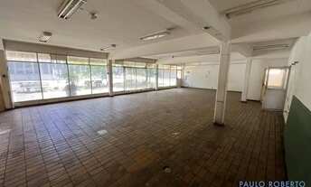 Imagem 5: GALPÃO - SANTO AMARO - SP