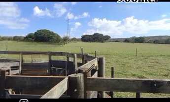 Imagem 5: A&M Imoveis vende Exelente Fazenda com 162hectare Região da Serra Bonita, município de Bu