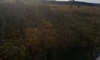 Imagem 7: Fazenda arrendamento pra GADO, 239 alqueires em Doverlândia Go. R$:350 mil por ano