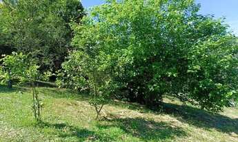 Imagem 4: Terreno bairro Esperança, Picada Café. RS REF: 270