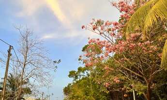 Imagem 2: LOCAÇÃO ALTO PADRÃO VERANA