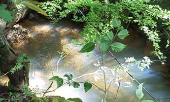 Imagem 7: Terreno Chácara 3 Alqueires 5 Km BR 414 Cocalzinho de Goiás