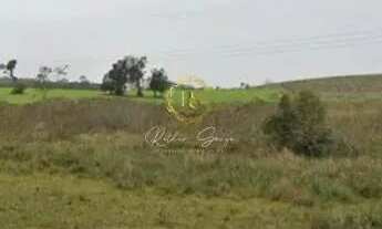 Imagem 3: Chácara à venda no Bairro Socorro em Portão: confira essa oportunidade! REF: CS0115