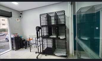 Imagem 3: Pet Shop, Consultório, Banho e Tosa