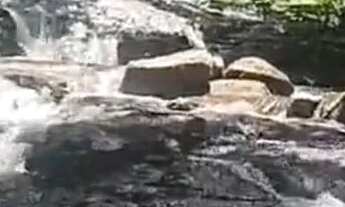 Imagem: Sitio em cassia dos coqueiros 1,2 alqueires