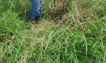 Imagem 5: Terreno em CANAS pronto para Construir 10x27