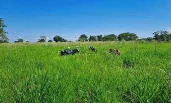Imagem: FAZENDA À VENDA BEIRA DO RIO CUIABÁ