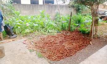 Imagem 3: Casa Tronco Castro