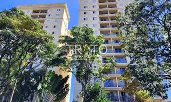 Imagem: Apartamento - Jardim das Paineiras - Campinas