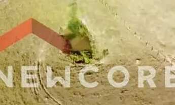 Imagem 7: Sítio em LINDO SITIO P/ EMPREENDORISMO TURÍSTICO EM TREMEMBÉ. - Rodovia Rodrigues Pinheiro