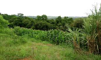 Imagem 4: Chacara em ibaiti