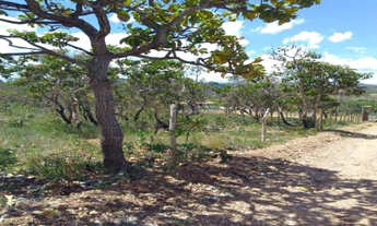 Imagem 2: Serra d Cipó!!! Chacara de 1.000m² 100% plano * WhtsApp