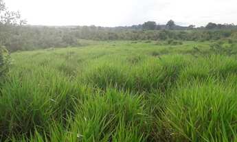 Imagem: Fazenda com 120 hectares no municipio de