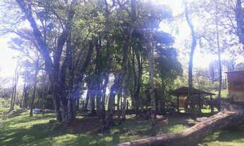 Imagem 5: Chácara com vista fantástica na Serra Gaúcha