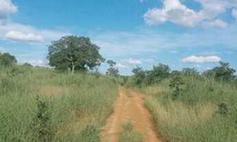 Imagem 7: Fazenda 1,416 hectares no municipio da cidade de urucuia