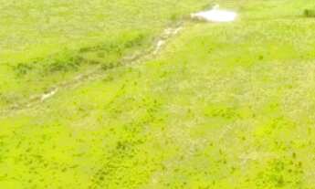 Imagem 6: 160 ALq. (774 Há). Paraíso-TO. (Boa p/ Soja