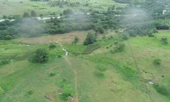 Imagem 3: Fazenda 150 hectares no Litoral Norte da Bahia! Com nascentes
