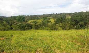 Imagem 2: Fazenda para venda possui 29 Alqueires em Cocalzinho de Goiás