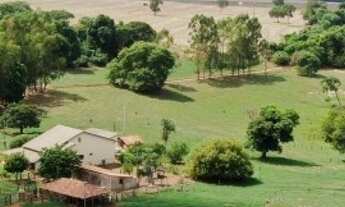 Imagem 3: Chácara 11 alqueires (53 hectares) em Palmeiras de Goiás-GO (lavoura + leite