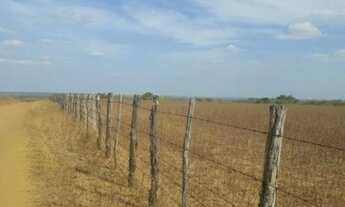 Imagem 4: Ótima Fazenda com 380 hectares na chapada de Apodi-RN