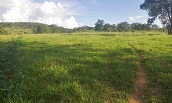 Imagem 4: Fazenda para venda possui 29 Alqueires em Cocalzinho de Goiás