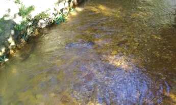 Imagem 2: Fazenda 153 Alqueires em Cavalcante TO