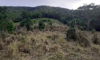 Imagem 5: Fazenda em Minaçu 23 alqueires