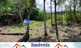 Imagem 2: Vendo lote na Praia do Ervino