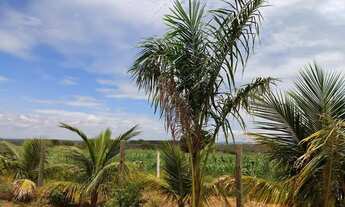 Imagem 6: Fazendinhas de 20.000 m² Com Financiamento Próprio na Região Metropolitana de BH (AN01