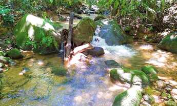 Imagem 5: $ Vendo Chácara com nascente em Cariacica caminho de Santa Leopoldina