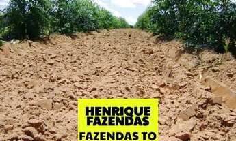 Imagem 7: Fazenda de oportunidade grande 599 alqueires Tocantins