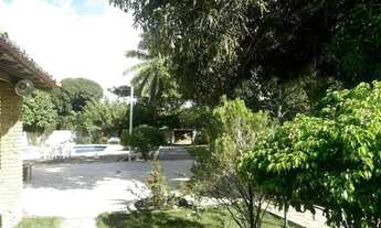 Imagem 5: Paraiso tranquilo