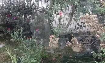 Imagem 4: Casa para locação - 4 dormitórios - Jardim França - São Paulo/SP