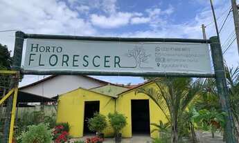 Imagem: Loja de plantas