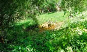 Imagem: AG07 VENDO SÍTIO EM SANTA LEOPOLDINA