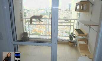 Imagem: Apartamento à venda no bairro Vila Oratório