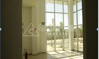 Imagem 6: Barracão - Parque dos Resedás - Campinas