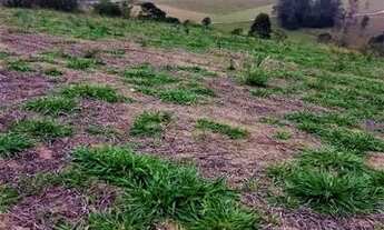 Imagem 7: 03a-APUDU0 Terreno / lote com venda por R$60.000
