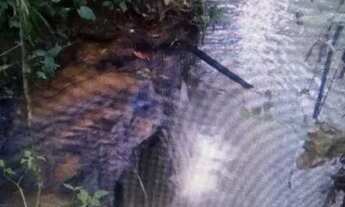 Imagem 5: Vendo chácara Chácara com venda por R$320.000