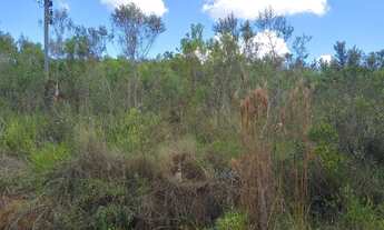 Imagem 4: Terreno a venda Terreno / lote com venda por R$40.000