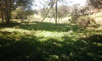 Imagem 4: Vende 2 hectares paiolzinho 350 mil