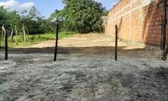 Imagem 2: Jardim Coronel cercado c/ água e luz