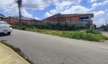 Imagem 7: Terreno no Novo Aleixo de Esquina / 13x25 próx da Natan Xavier..