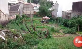 Imagem 4: São Paulo - Terreno Padrão - Cachoeirinha