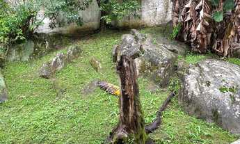 Imagem 3: Casa Itacorubi 8 quartos (Oportunidade!